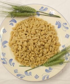 gnocchetti sardi