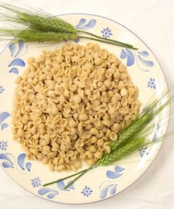conchigliette